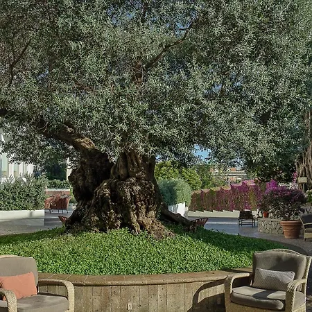 Conca Park Hotell Sorrento