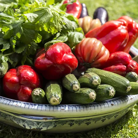 Conca Park Hotell Sorrento