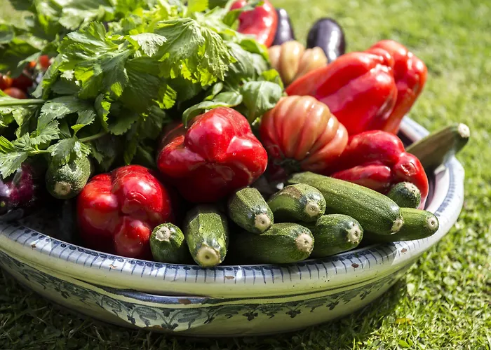 Conca Park Hotel Sorrente