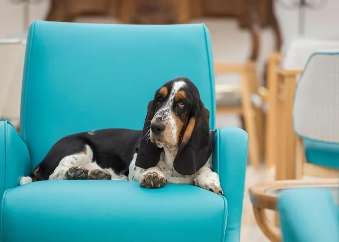 Conca Park 4* ソレント