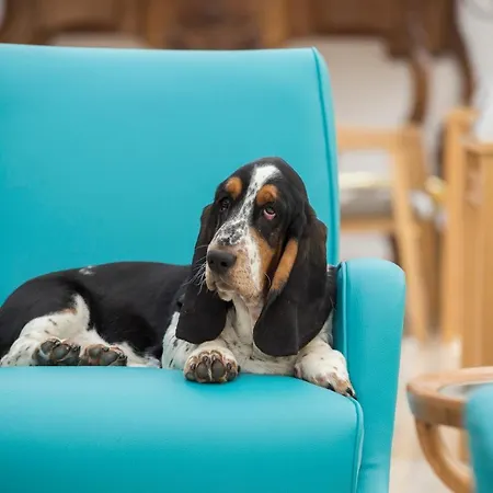 Conca Park 4* Sorrento