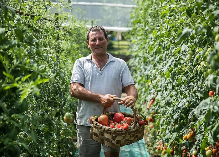 Conca Park Hotel Península Sorrentina