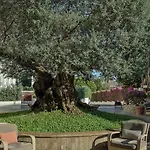 Conca Park Ξενοδοχείο Σορέντο